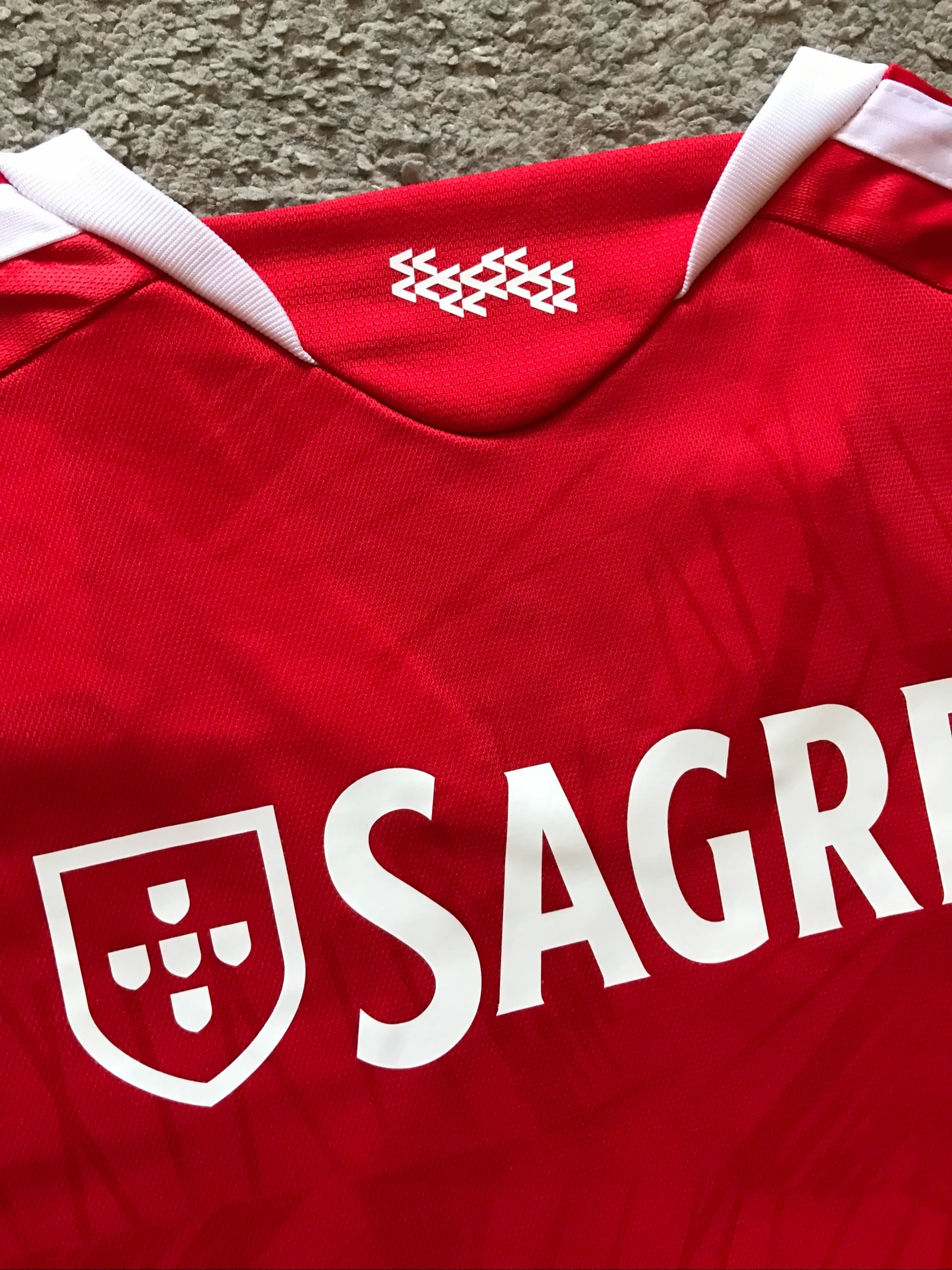 Camiseta Benfica 26-27 – photo 6